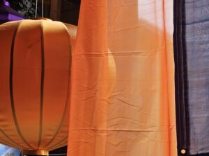 Sari Drapes