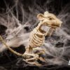 Skelet Rat Halloween
