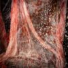 Griezelige Halloween Doek met Bloedige Handafdruk -  2.15m x 5m - Afbeelding 3
