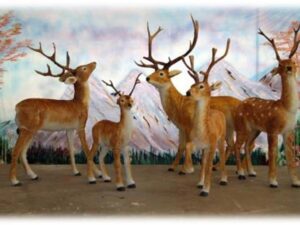 Hert groot +/- 160 cm hoog