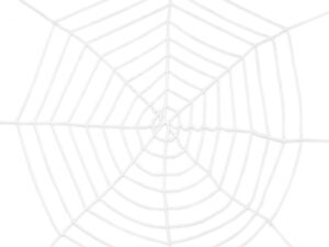 Spinnenweb wit (Ø 275 cm)